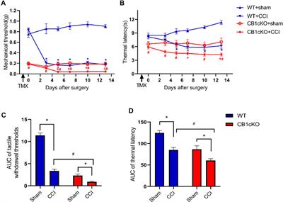 Transcriptomic Profiling in Mice With CB1 receptor Deletion in Primary Sensory Neurons Suggests New Analgesic Targets for Neuropathic Pain